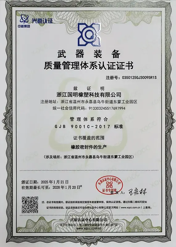 Auto Rubber Silicone Gasket